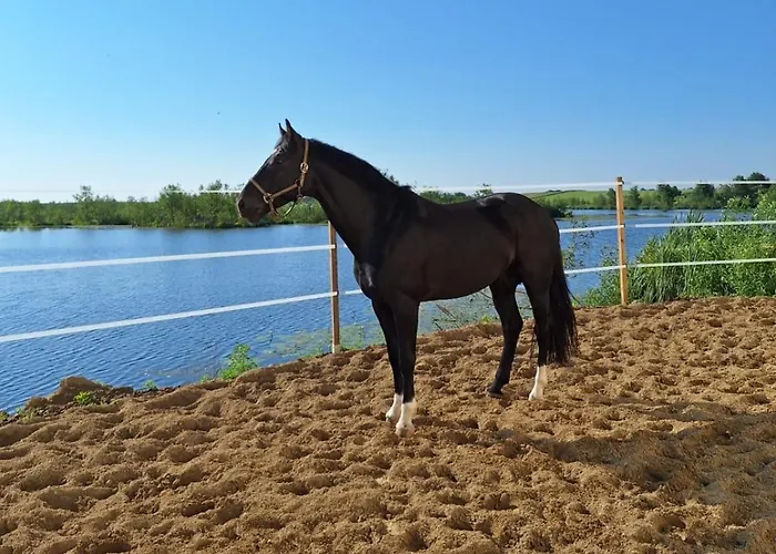 Stajnia Czahary 2 Pogorzelica (Gmina Rewal)